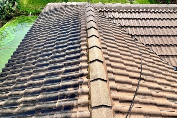Roof Cleaning near me Orlando FL 05